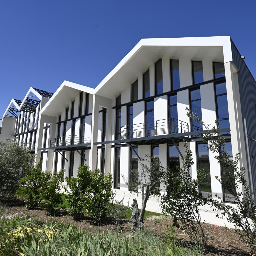 Siège social Blachère à Châteaurenard (13)